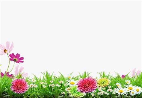 Spring Background In 2020 Beautiful Nature Wallpaper