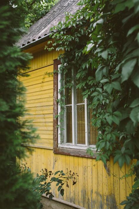 Cozy Little Country House Painted Yellow Among Lush Green Trees And
