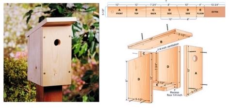 idées pour fabriquer un nichoir à oiseaux parfait Nichoir Plan nichoir Plancher bois