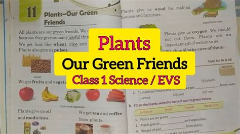Class 1 Evs Plants Our Green Friends Pocketful Of Lessons Youtube