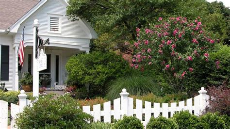 With the helpful information provided by ty ty nursery, your decision will be much simpler. Ranking the best flowering shrubs for North Texas | Fort ...