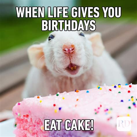 Happy Birthday Meme Babyburritosquilts