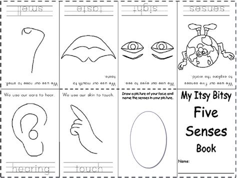 Sight words, tracing and repeating of letters. Best Photos Of Free Five Senses Printable - Preschool Five Senses ... - Coloring Home