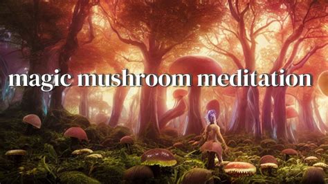 The Magic Mushroom Meditation Playlist Youtube