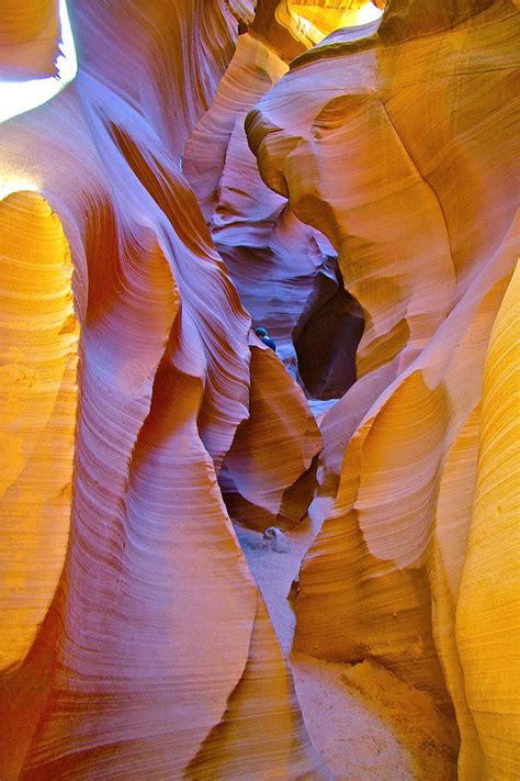 Snooty Creature In Lower Antelope Canyon In Lake Powell Navajo Tribal