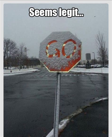 To Go Is Snow A Good Idea ‼️ Funny Sign Fails Funny Pictures Fails