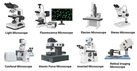 16 Types Of Microscopes With Parts Functions Diagrams