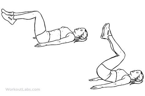 Reverse Crunch Illustrated Exercise Guide Workoutlabs