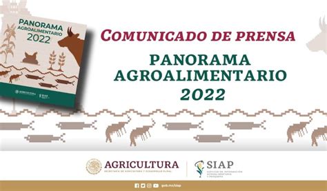Panorama Agroalimentario 2022 Servicio De Información Agroalimentaria