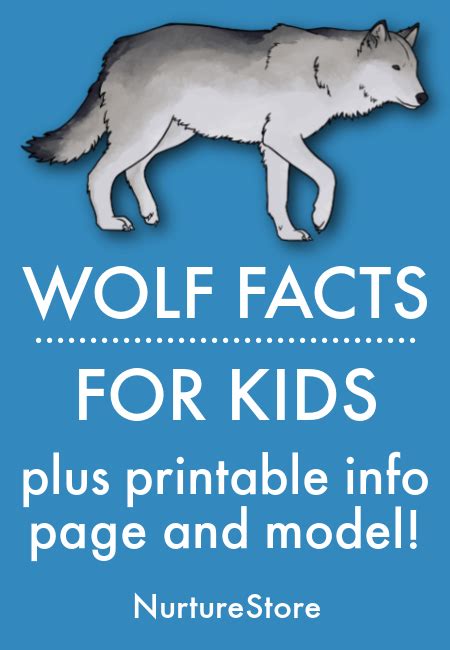 Wolf Facts For Children Nurturestore