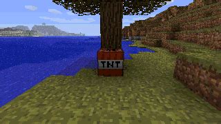 This tnt shaped box has a long fuse, and a small firecracker t… File:Minecraft-tnt-explosion.gif - Official Minecraft Wiki