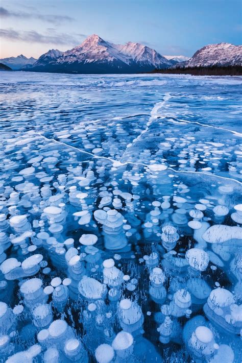 Methane Bubbles Stuck Under Layer Of Frozen Lake In Canada Rgeology