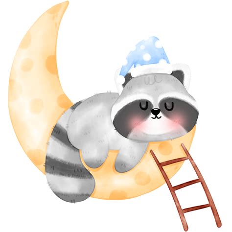Cute Raccoon Illustration 17340069 Png