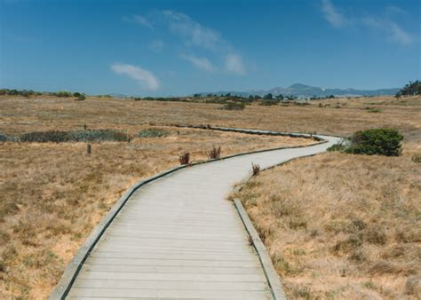Hiking Fiscalini Ranch Preserve In Cambria California Wanderland