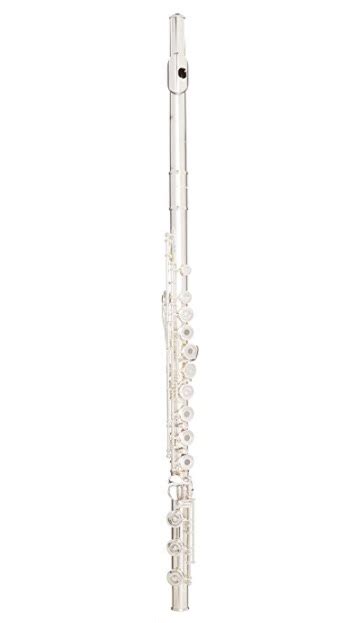 5 Best Professional Flute Reviews 2022 Expert Flute Choice Cmuse