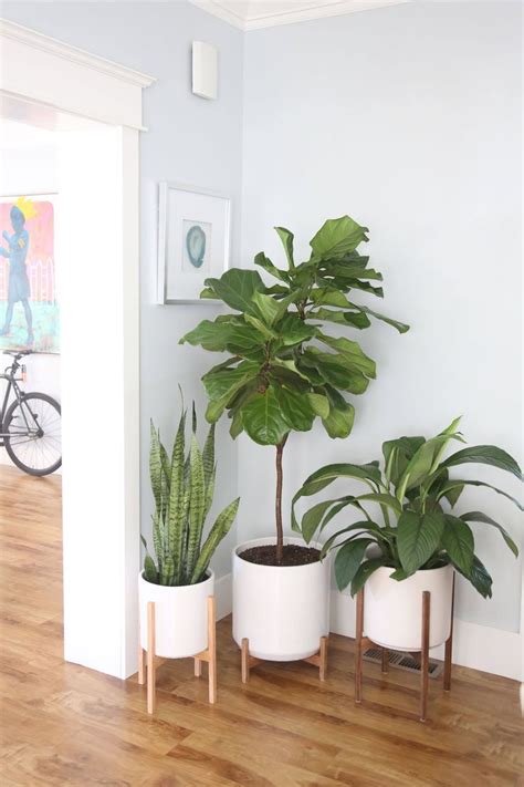 Put your favorite plants on full display in your home with the ceramic planter with wood stand from project 62™. Large - Mid-century Modern Cylinder Planter with Walnut or ...