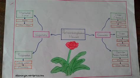 Sistem Perkembangbiakan Pada Tumbuhan Dan Mind Map Sexiz Pix