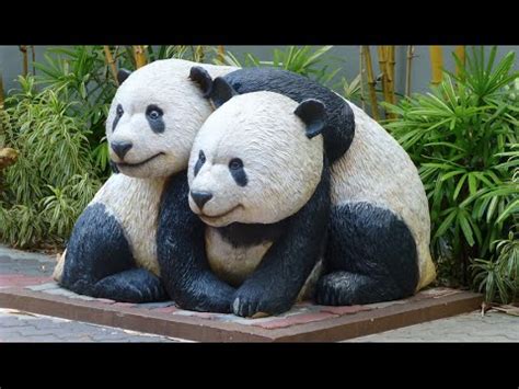 The price of the drinks and food inside is expensive. Giant Panda @ Zoo Negara, Kuala Lumpur, Malaysia. - YouTube
