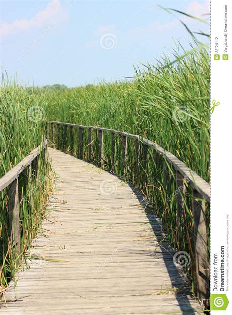 Wooden Water Walkway Stock Photo Image Of Landscape 32724112