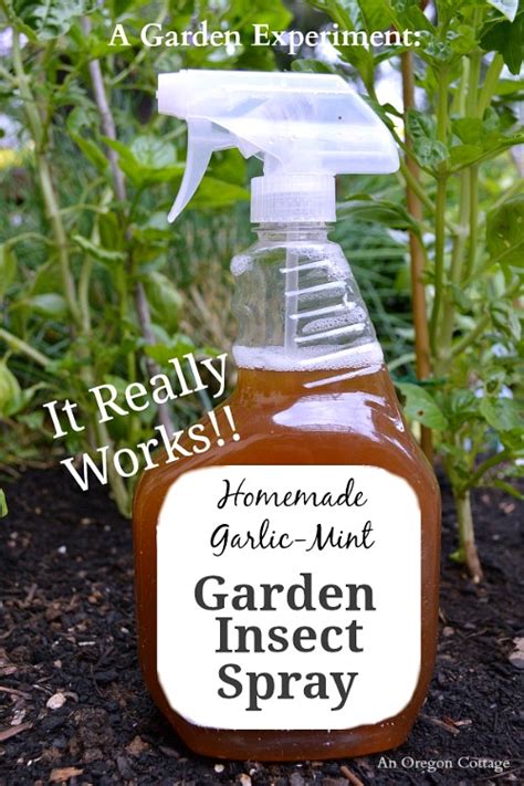 5 Homemade Bug Spray Recipes For Your Garden