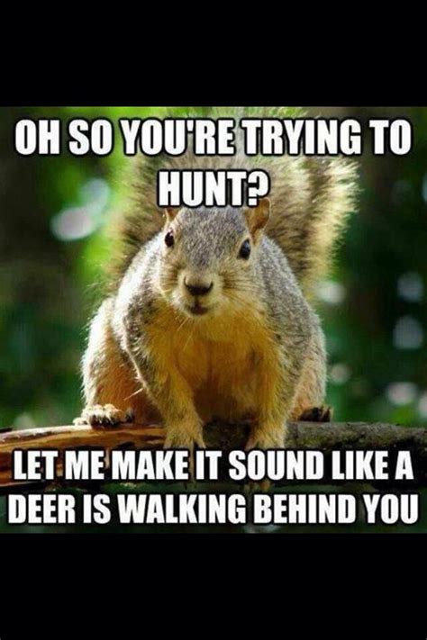 So True Hunting Humor Funny Hunting Pics Deer Hunting Humor
