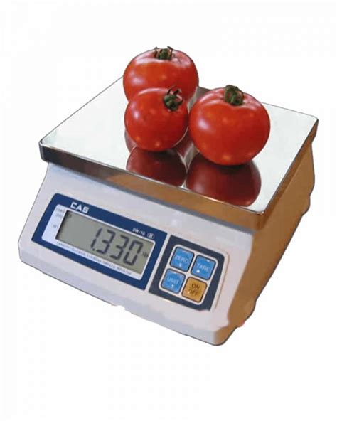 Digital Weighing Scale Cas 10 Kg Capacity And Readablity 0005 Kg