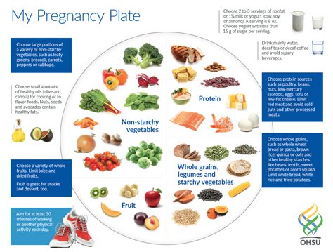 Nutrition In Pregnancy And Lactation Nutrition Science And Everyday
