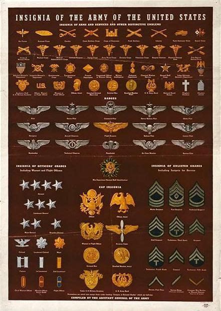 Unique Military Insignia Chart Unique Military Insignia Chart Us Army
