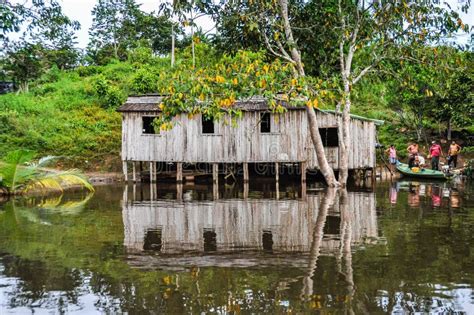 Hut In The Village In The Amazon Rainforest Manaos Brazil Editorial