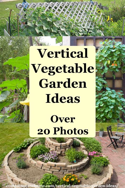 20 Backyard Vegetable Garden Ideas For Beginners Architectural