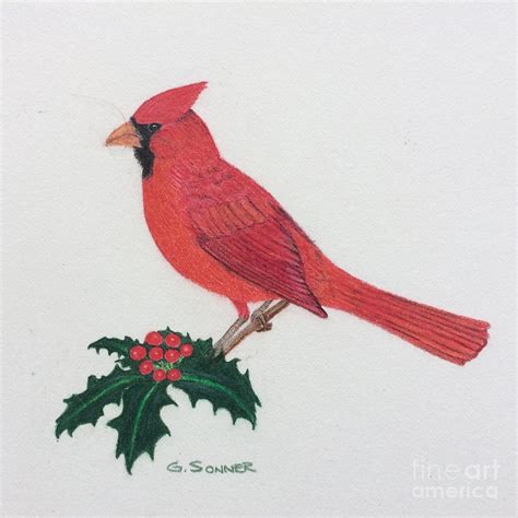Cardinal Drawing By George Sonner Pixels
