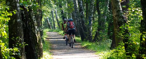 Radwege Im Spreewald Übersicht Der Fahrradtouren