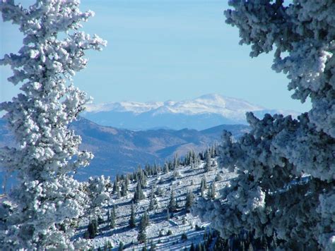 Critter Sitters Blog Snowy Colorado Mountains