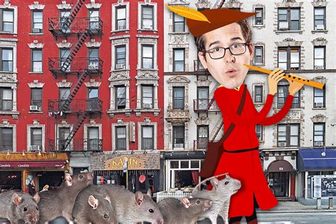 Why I Love New Yorks Massive Rat Infestation Sure Do News Every Day