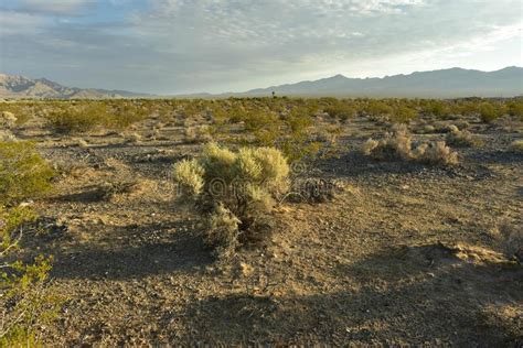 Mojave Desert Landscape Town Of Pahrump Nevada Usa Stock Photo