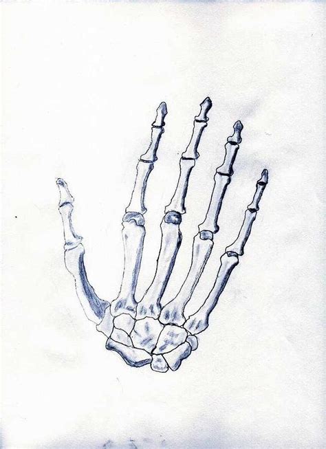 Skeleton Hand Drawing By Michael Jones Pixels