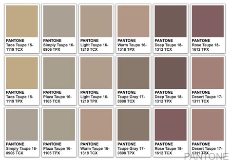 Watch the video and find out more about the color taupe. Taupe Color - What Color Is Taupe?