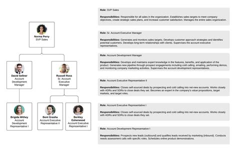Online Org Chart Template Hq Printable Documents