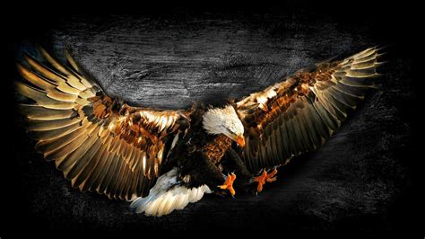 Eagle Art Wallpapers Top Free Eagle Art Backgrounds Wallpaperaccess