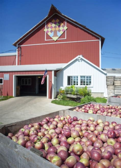 Press Release Archives Apple Barn Orchard And Winery