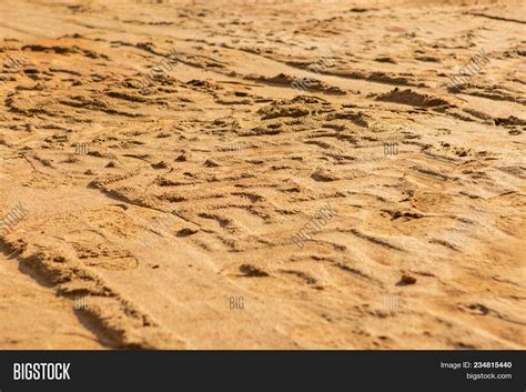 Sandy Soil Cut Image And Photo Free Trial Bigstock