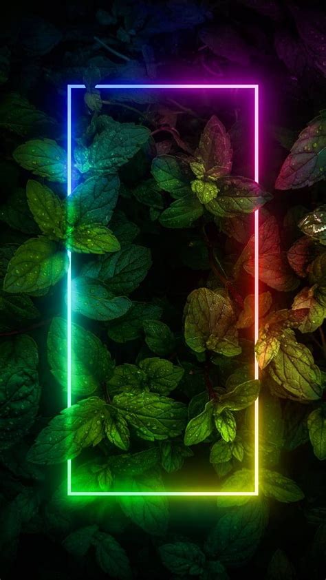 Neon Neon Plants Hd Phone Wallpaper Pxfuel