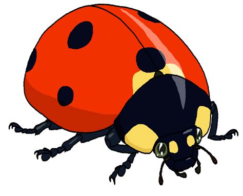 Coccinella Clipart By Misterbug On Deviantart