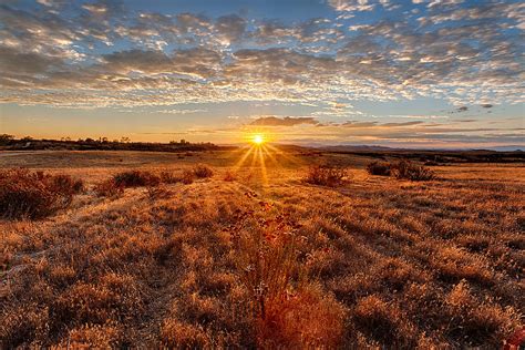 Grassland Sunset Photograph By Peter Tellone Pixels