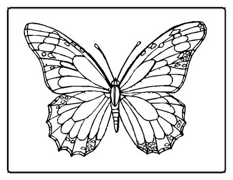 butterfly coloring pages | Learn To Coloring