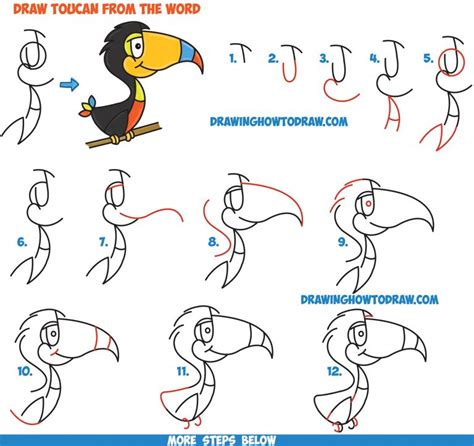 How To Draw Cartoon Toucans From The Word Easy Step By Step Drawing