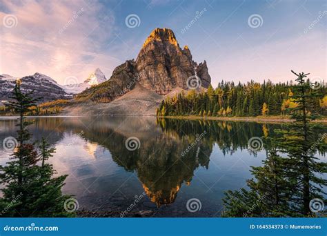 Scenery Of Sunburst Lake And Mount Assiniboine Reflections Between Pine