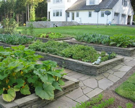 Raised Bed Vegetable Garden Layout Houzz