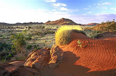 7 Deserts That Used To Be Verdant Fields And Forests