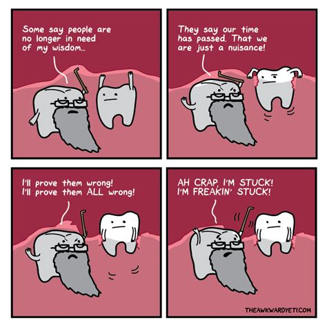 wisdom teeth dental jokes awkward yeti teeth humor